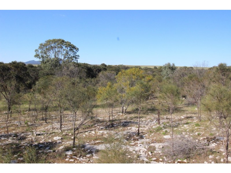Lot 1, 351 Pinta Track, Mount Dutton Bay SA 5607