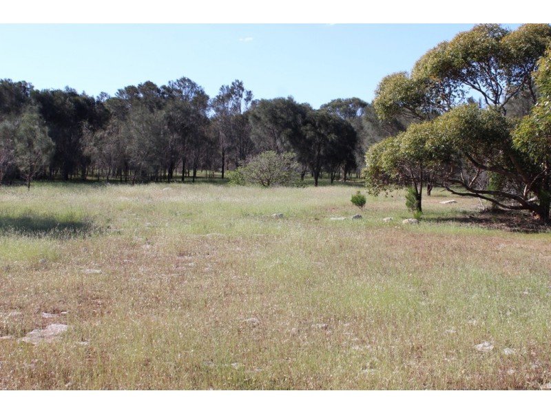 Lot 1, 351 Pinta Track, Mount Dutton Bay SA 5607