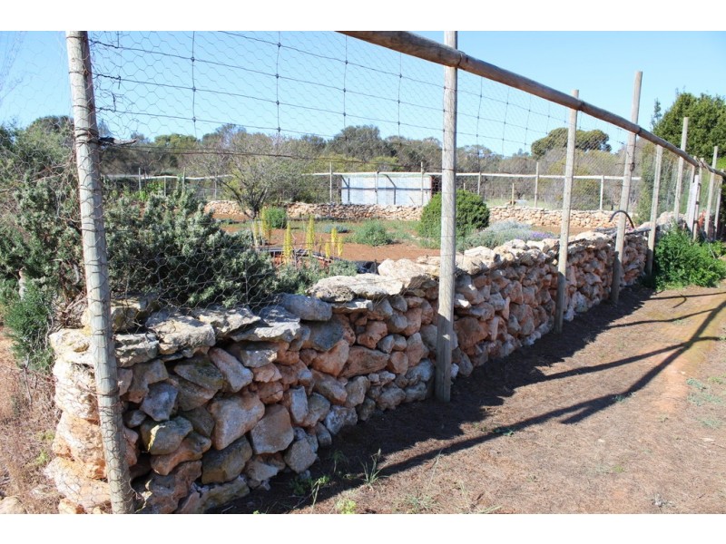 Lot 1, 351 Pinta Track, Mount Dutton Bay SA 5607