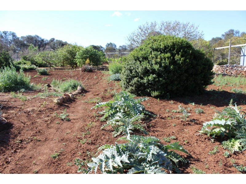 Lot 1, 351 Pinta Track, Mount Dutton Bay SA 5607