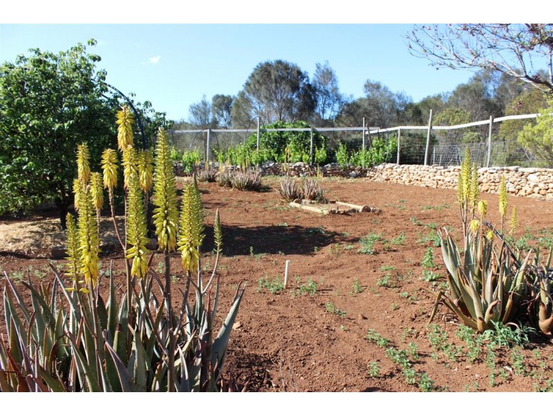 Lot 1, 351 Pinta Track, Mount Dutton Bay SA 5607