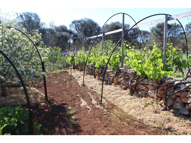 Lot 1, 351 Pinta Track, Mount Dutton Bay SA 5607