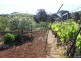 Lot 1, 351 Pinta Track, Mount Dutton Bay SA 5607