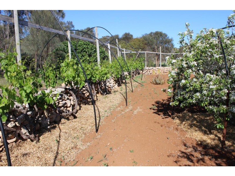 Lot 1 351 Pinta Track Mount Dutton Bay via, Coffin Bay SA 5607