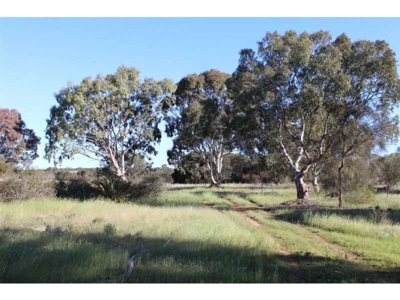 Lot 1 351 Pinta Track Mount Dutton Bay via, Coffin Bay SA 5607