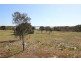 Lot 1 351 Pinta Track Mount Dutton Bay via, Coffin Bay SA 5607