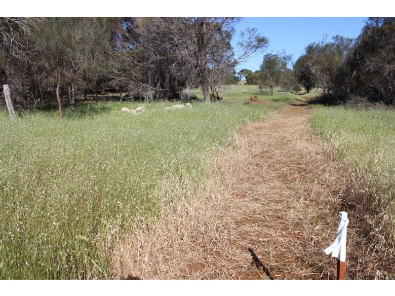 Lot 1 351 Pinta Track Mount Dutton Bay via, Coffin Bay SA 5607