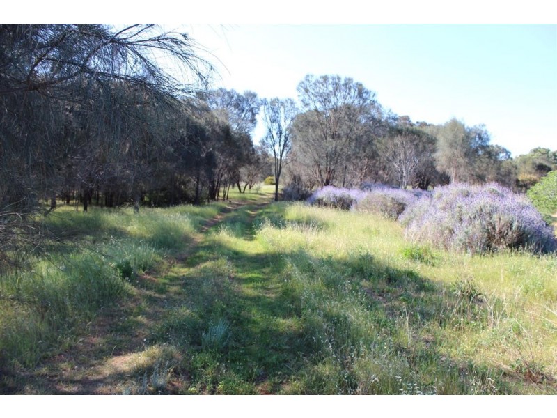 Lot 1 351 Pinta Track Mount Dutton Bay via, Coffin Bay SA 5607