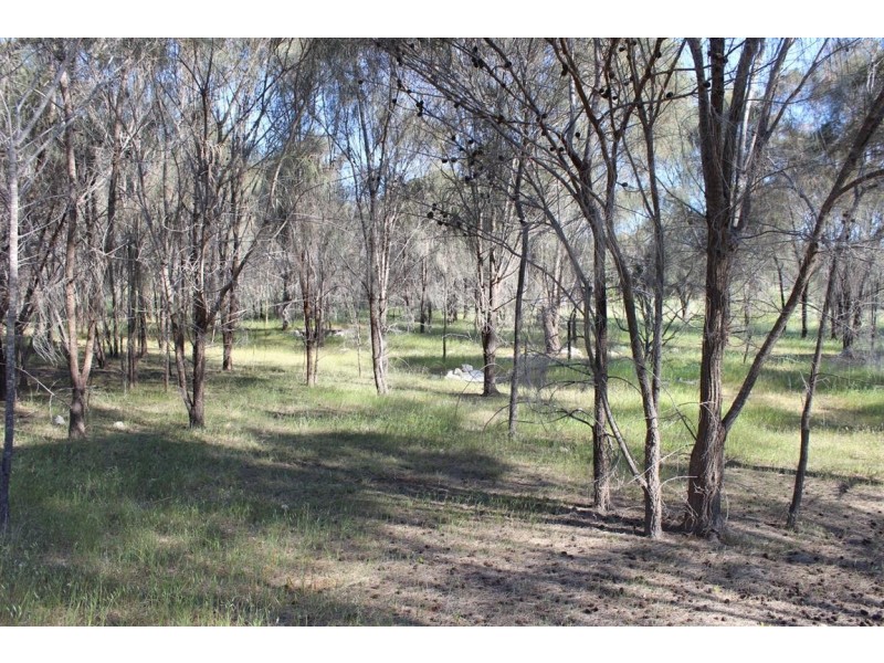Lot 1 351 Pinta Track Mount Dutton Bay via, Coffin Bay SA 5607