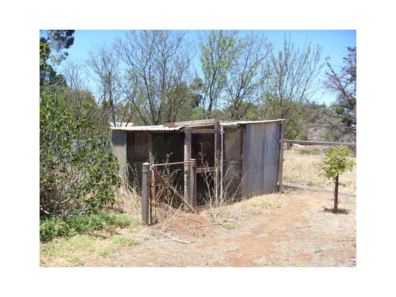 34 Schramm Street, Ungarra SA 5607