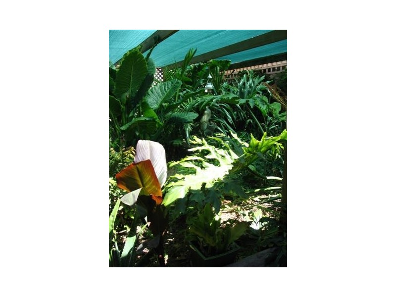 16 Matilda Street, Port Lincoln SA 5606