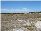 Sect 176 Taylor Road, Wangary SA 5607