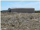 Sect 176 Taylor Road, Wangary SA 5607