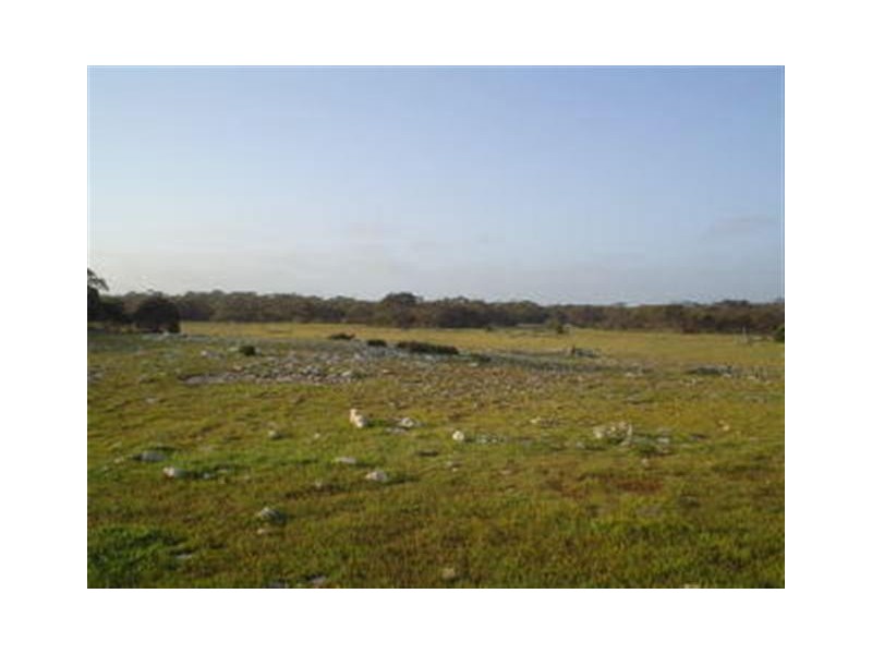 Section 55 Hundred of Ward, Elliston SA 5670