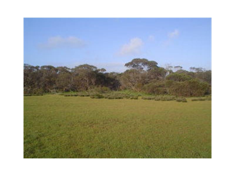 Section 55 Hundred of Ward, Elliston SA 5670