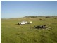 Section 55 Hundred of Ward, Elliston SA 5670