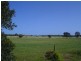 24 Seventh Street, Elliston SA 5670