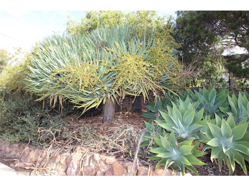 157 Esplanade, Coffin Bay SA 5607