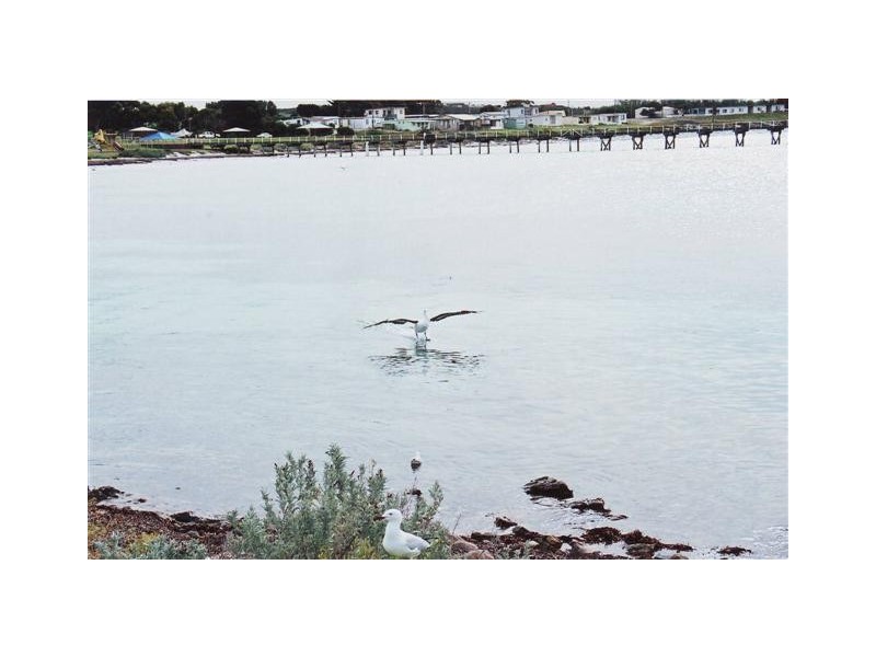 5 O’Loughlin Terrace, Port Neill SA 5604