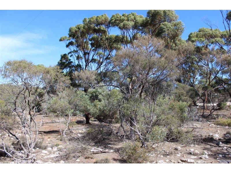 50 West Bay Road, Mount Dutton Bay SA 5607
