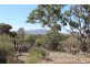 50 West Bay Road, Mount Dutton Bay SA 5607