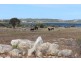 50 West Bay Road, Mount Dutton Bay SA 5607