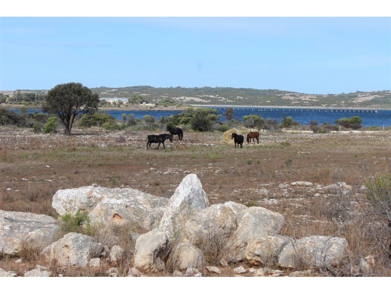 50 West Bay Road, Mount Dutton Bay SA 5607