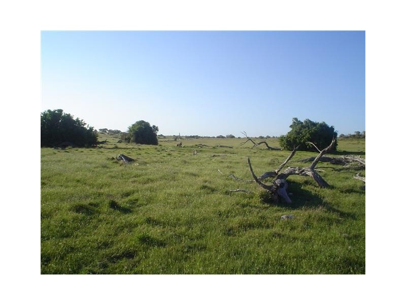 Section 54 Hundred of Ward, Elliston SA 5670