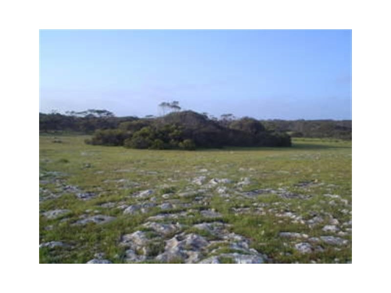 Section 44   Hundred of Ward, Elliston SA 5670