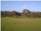 Section 44   Hundred of Ward, Elliston SA 5670