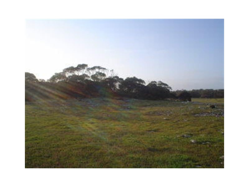 Section 44   Hundred of Ward, Elliston SA 5670