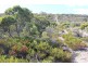 Lot 3, 45 Frenchman Road, Frenchman via, Coffin Bay SA 5607