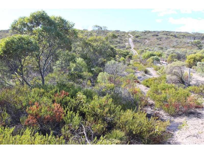 Lot 3, 45 Frenchman Road, Frenchman via, Coffin Bay SA 5607