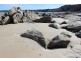Lot 3, 45 Frenchman Road, Frenchman via, Coffin Bay SA 5607