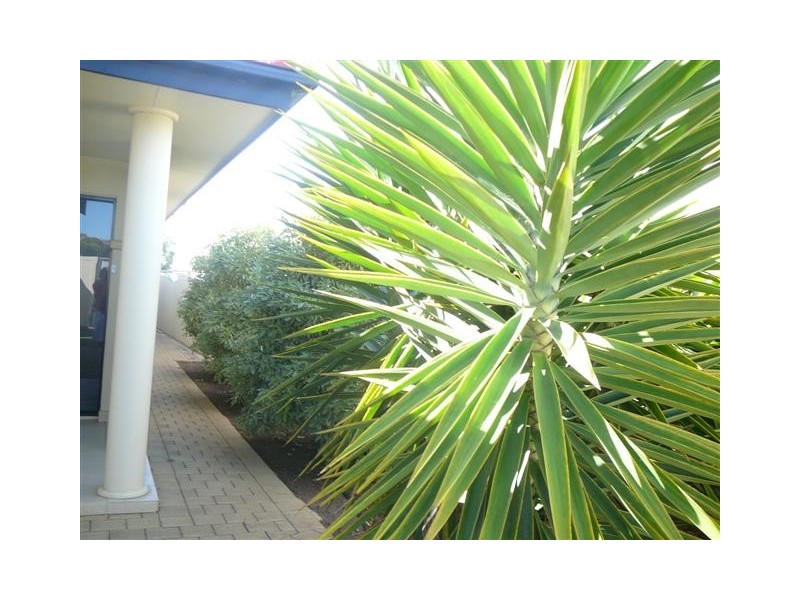 1/11 Laguna Drive, Port Lincoln SA 5606