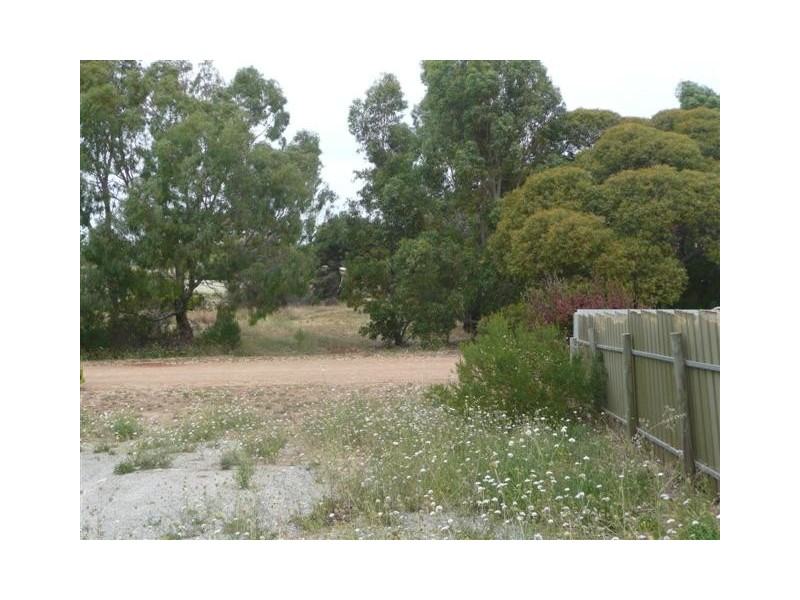 Lot 161 Third Street, Wangary SA 5607