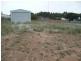 Lot 161 Third Street, Wangary SA 5607