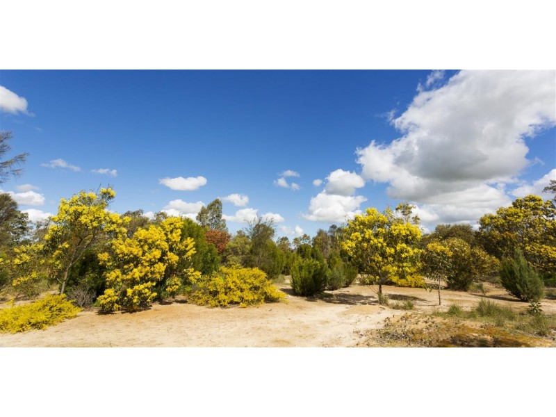 . Sections 14B, 14A and 14A1 Hundred of Stokes, Cockaleechie SA 5631