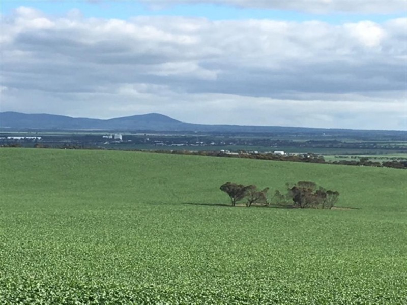 . Sections 14B, 14A and 14A1 Hundred of Stokes, Cockaleechie SA 5631