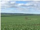 . Sections 14B, 14A and 14A1 Hundred of Stokes, Cockaleechie SA 5631