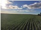 . Sections 14B, 14A and 14A1 Hundred of Stokes, Cockaleechie SA 5631