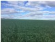 . Sections 14B, 14A and 14A1 Hundred of Stokes, Cockaleechie SA 5631