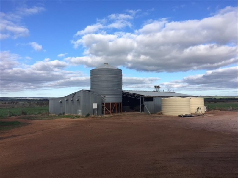 . Sections 14B, 14A and 14A1 Hundred of Stokes, Cockaleechie SA 5631