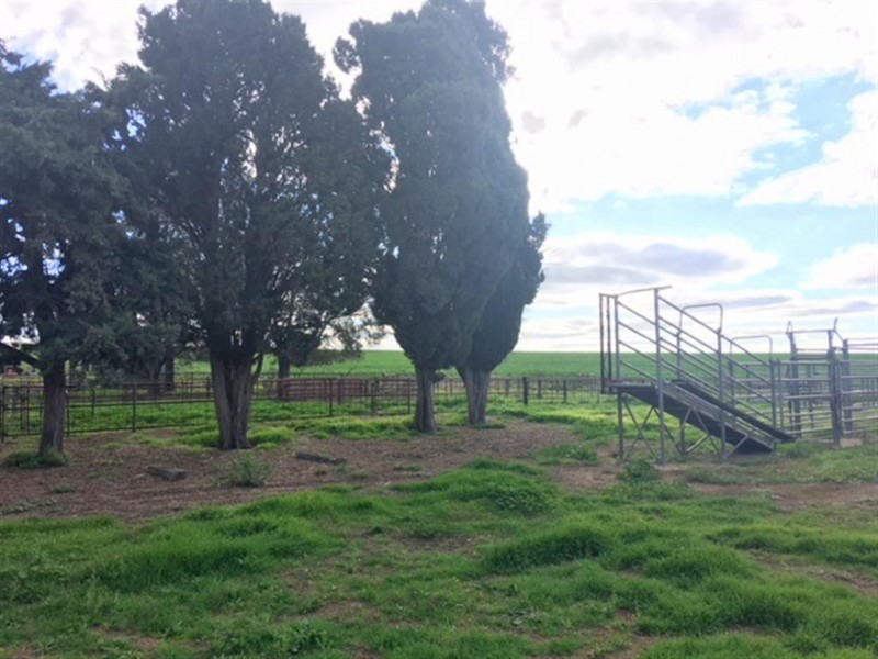 . Sections 14B, 14A and 14A1 Hundred of Stokes, Cockaleechie SA 5631