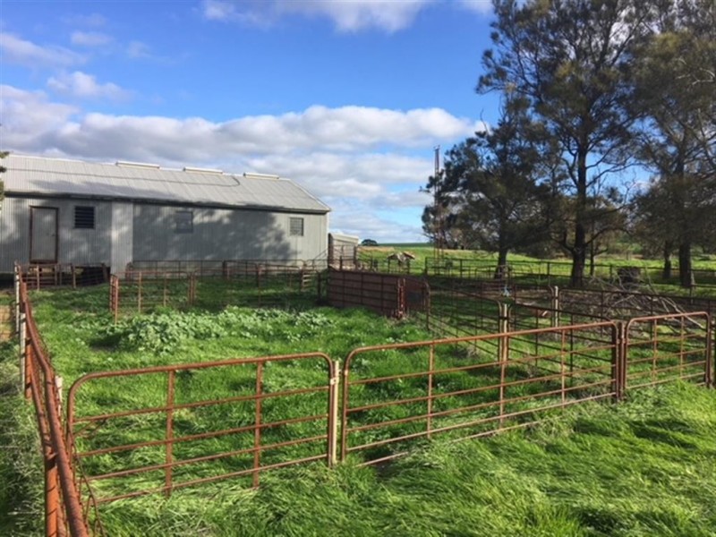 . Sections 14B, 14A and 14A1 Hundred of Stokes, Cockaleechie SA 5631