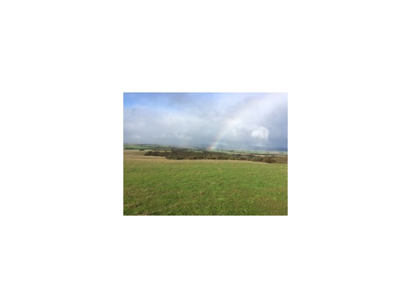 Lot 302 Hundred of Mortlock, Edillilie SA 5630