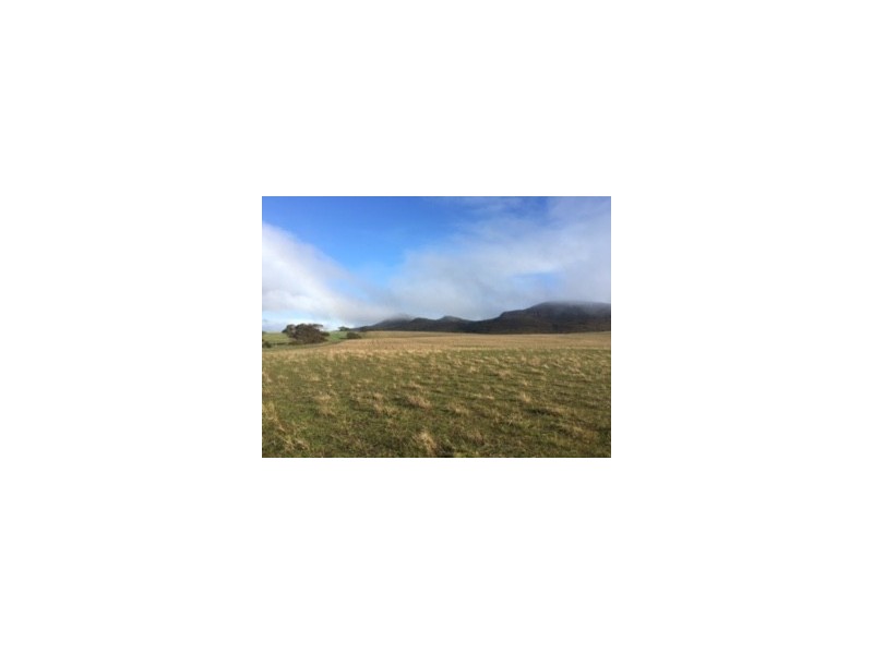 Lot 302 Hundred of Mortlock, Edillilie SA 5630