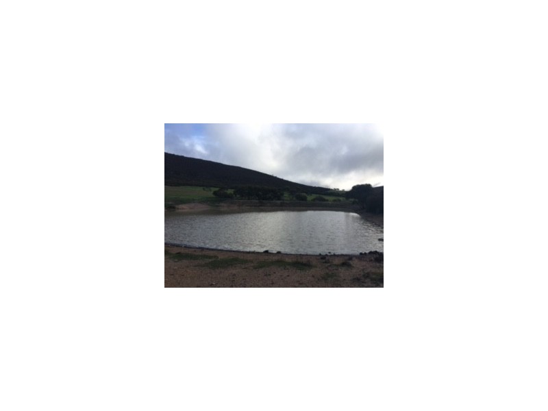 Lot 302 Hundred of Mortlock, Edillilie SA 5630