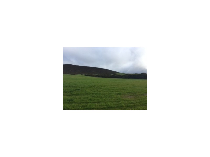 Lot 302 Hundred of Mortlock, Edillilie SA 5630