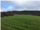 Lot 302 Hundred of Mortlock, Edillilie SA 5630